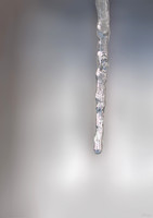 Icecicle