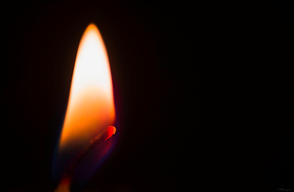 Fire